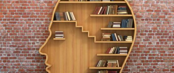An image of a bookcase