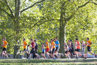 Image of runners in a Royal Park 