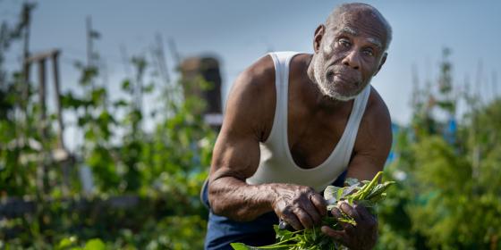 Older man gardening outdoors