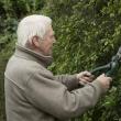 Man using hedge cutter